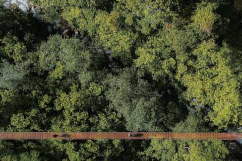 Boquete : ponts suspendus et randonnée à Chiriquí