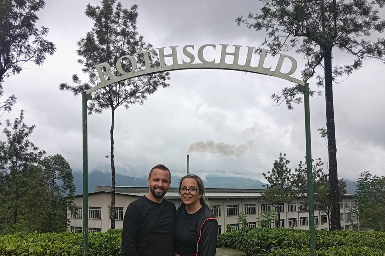 Kandy: Ambuluwawa, Pinnawala & Tea Factory by Tuk Tuk