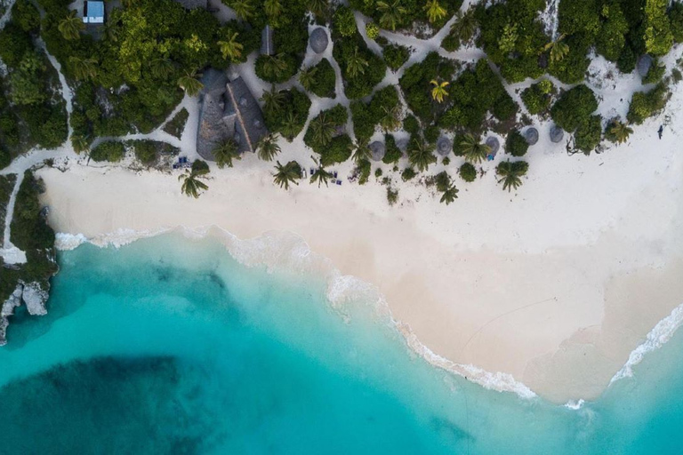 Jozani Forest, Die Insel Pongwe, Schnorcheln mit Meeresschildkröten