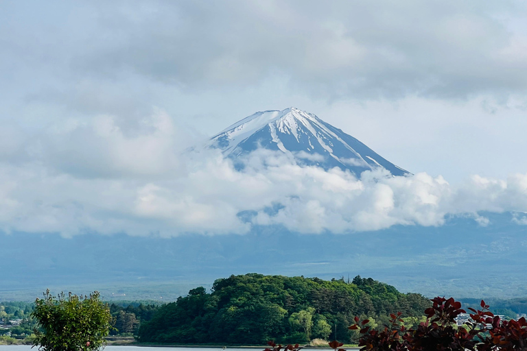 Fuji-berget/Hakone heldagsutflykt privat från Tokyo/Yokohama1 dag privat tur till Fuji-berget/Hakone från Tokyo/Yokohama