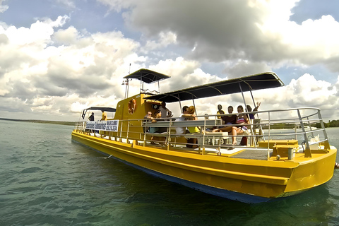 Ilha Saona em semi-submarino e mergulho com snorkel a partir de Bavaro / Punta Cana.