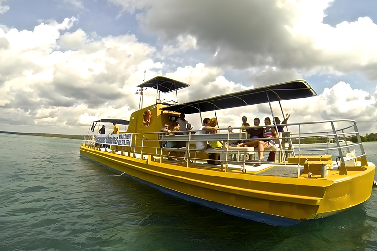 Saona Island by semi-submarine and snorkeling from Bavaro / Punta Cana.