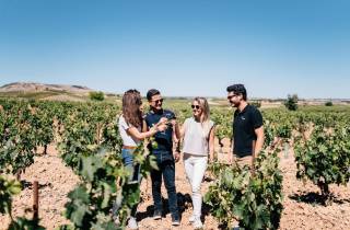 Von Madrid aus: Ribera del Duero Weingut und Segovia Tour