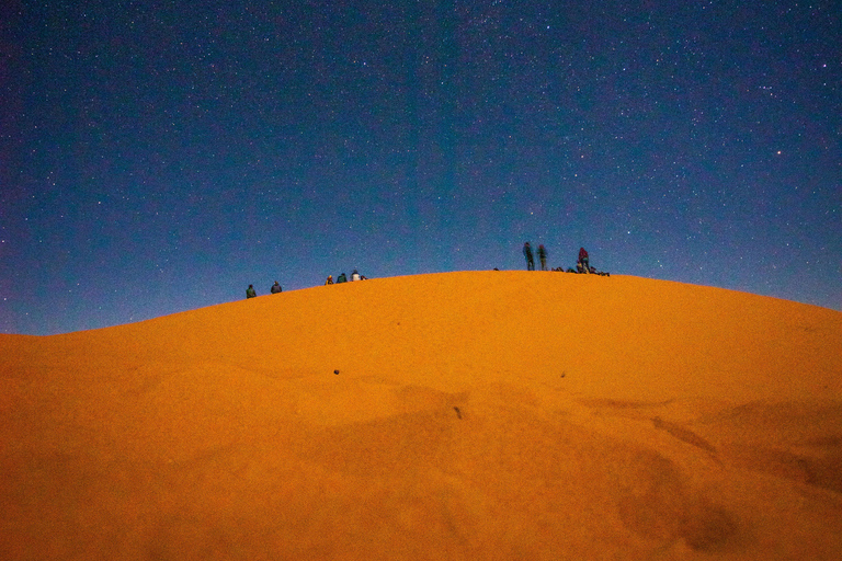 Safári noturno no deserto com estrelas Doha, Qatar