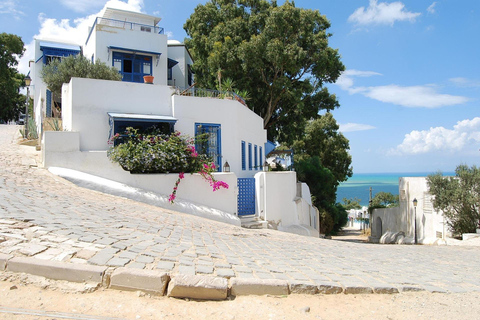 Carthage, Sidi Bou Said & El Jem Tour: The Must-Sees of Tunisia