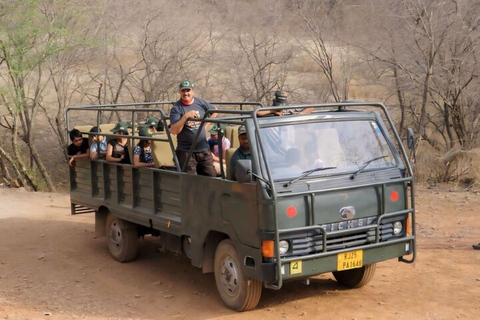 From Jaipur: Explore Ranthambore on a Tiger Safari Day Trip Jaipur to Ranthambore: Morning safari starts 6 AM–7 AM