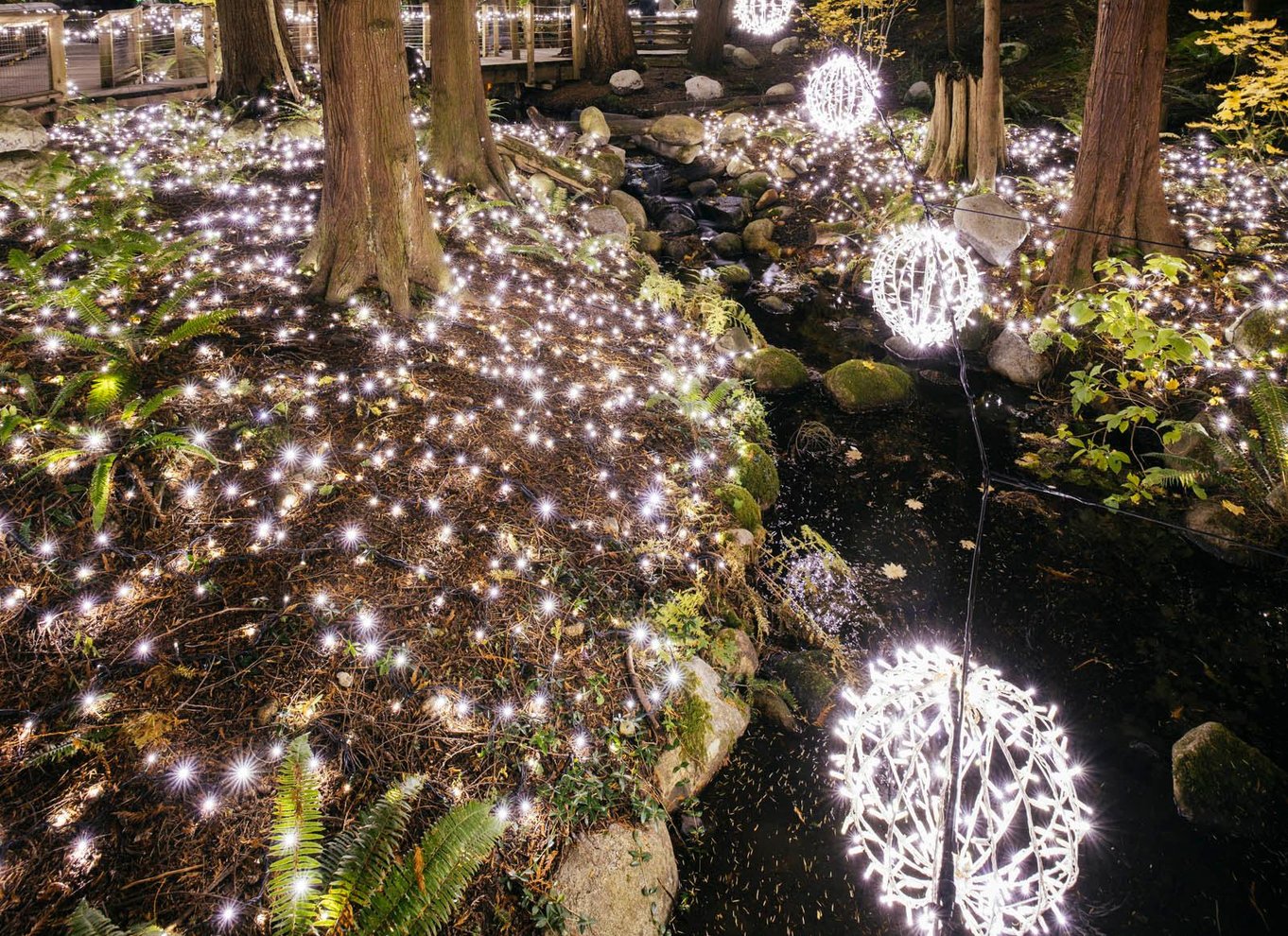 Vancouver: Capilano Suspension Bridge Park billet