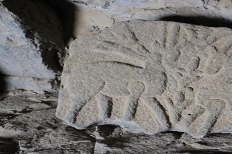 History & Nature: Azraq Wetland Reserve and Desert Castles