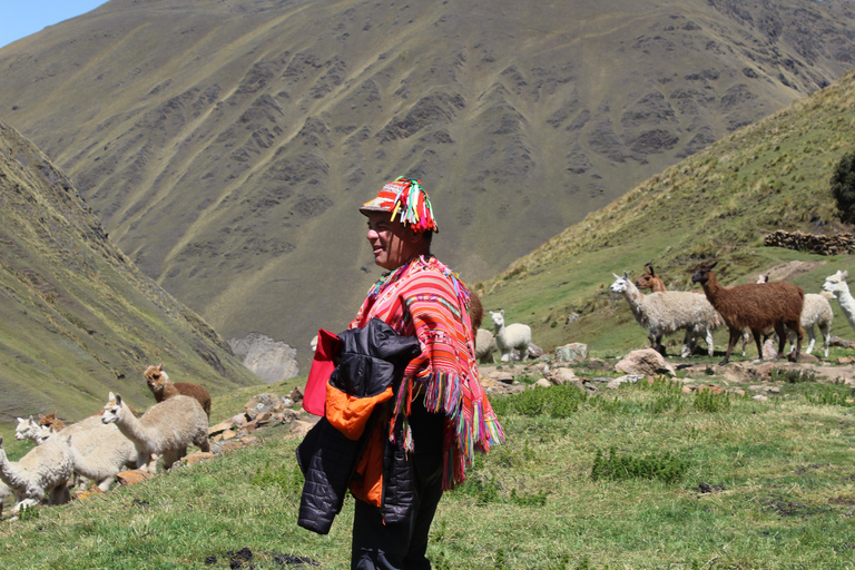 Les nouvelles routes incas