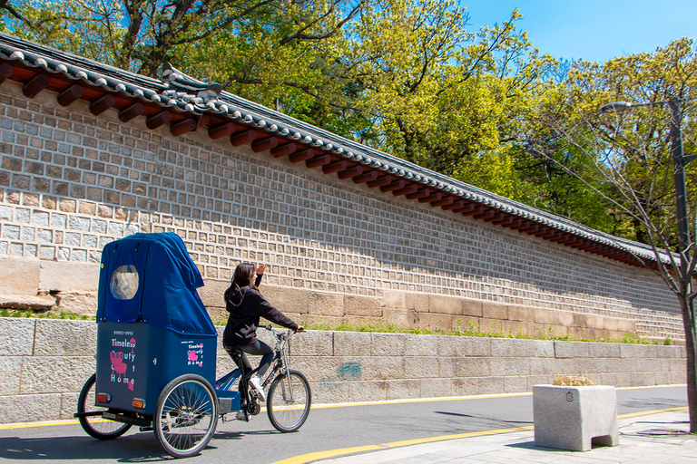 Seul: Bukchon Hanok Village Pedicab Tour