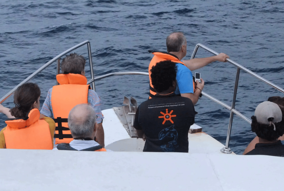 Watching The Rides All Inclusive Mirissa Whale and Dolphin Watching Boat Ride | GetYourGuide