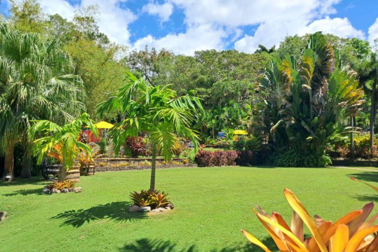 St. Kitts No Hustle No Hassle Private Tour with Don