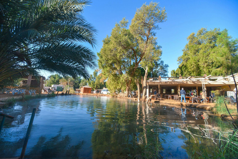 Circuit des villages et oasis du Sahara tunisien avec nuitée