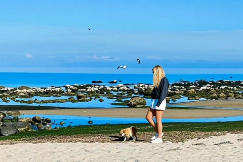 From Melbourne: Great Ocean Road & 12 Apostles Wild Day Tour