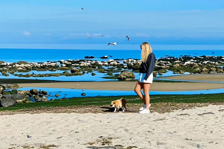 From Melbourne: Great Ocean Road & 12 Apostles Wild Day Tour