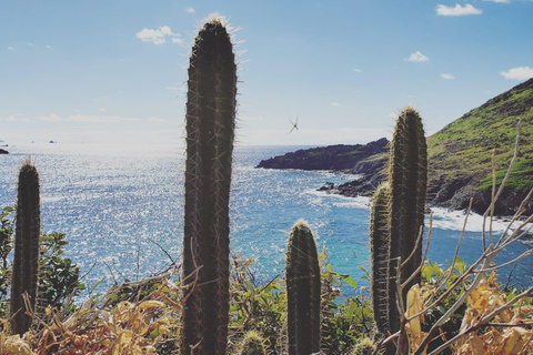 St. Maarten: Guana Bay Coastal Hike