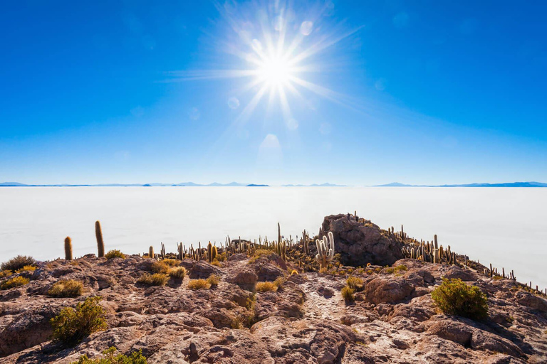 Uyuni: Salt Flats Full Day Tour with 3-Star Salt Hotel Stay