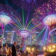 Gardens by the Bay at Night: Supertrees & Garden Rhapsody