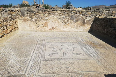 Transfer From Fes to Tangier via Volubilis and Chefchaouen