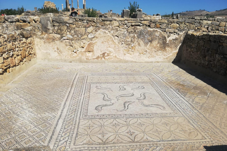 Traslado de Fez a Tánger pasando por Volubilis y Chefchaouen