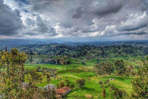 MEDELLIN: WYCIECZKA MLECZARSKA + SZWAJCARIA KOLUMBIJSKA