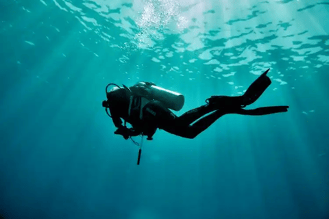 Aucune expérience requise - Découvrez la plongée avec prise en chargeAucune expérience requise - Découvrez la plongée sous-marine avec prise en charge