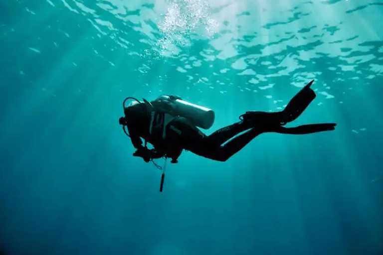 Aucune expérience requise - Découvrez la plongée avec prise en chargeAucune expérience requise - Découvrez la plongée sous-marine avec prise en charge