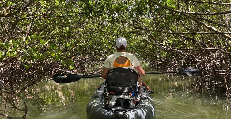 Fort Pierce: 2-timers jungeltur til forhistorisk reservat i FL