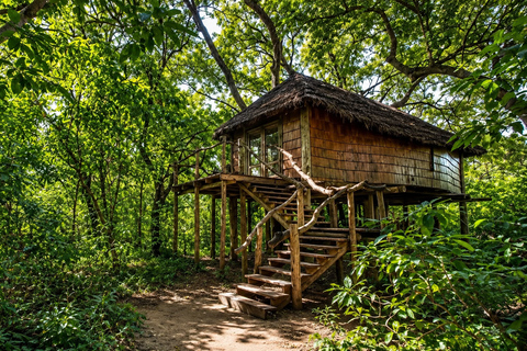 From Moshi: Kilimanjaro Village Tour with Coffee Farm Visit