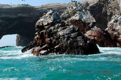 Tour de Lima às Ilhas Ballestas e Huacachina