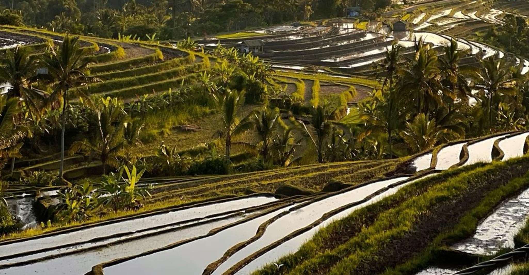 Bali: Jatiluwih UNESCO, Bratan Lake, Iconic Gate & Tanah Lot photo 5
