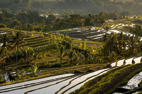 Bali: Jatiluwih UNESCO, Bratan Lake, Iconic Gate & Tanah Lot group tour north part of bali without entrance