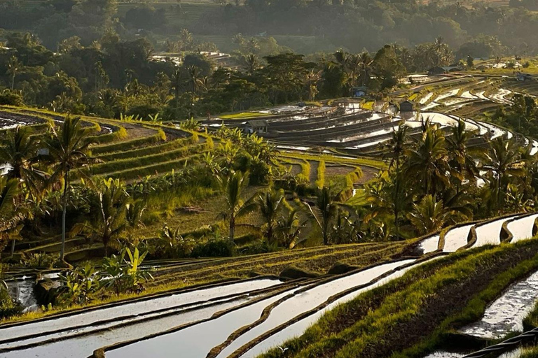 Bali: Jatiluwih UNESCO, Bratan Lake, Iconic Gate & Tanah Lot group tour north part of bali without entrance