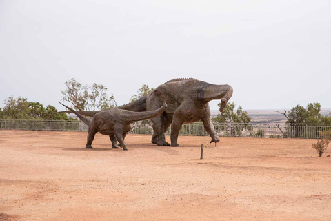 From Longreach: Outback Winton Full Day Tour
