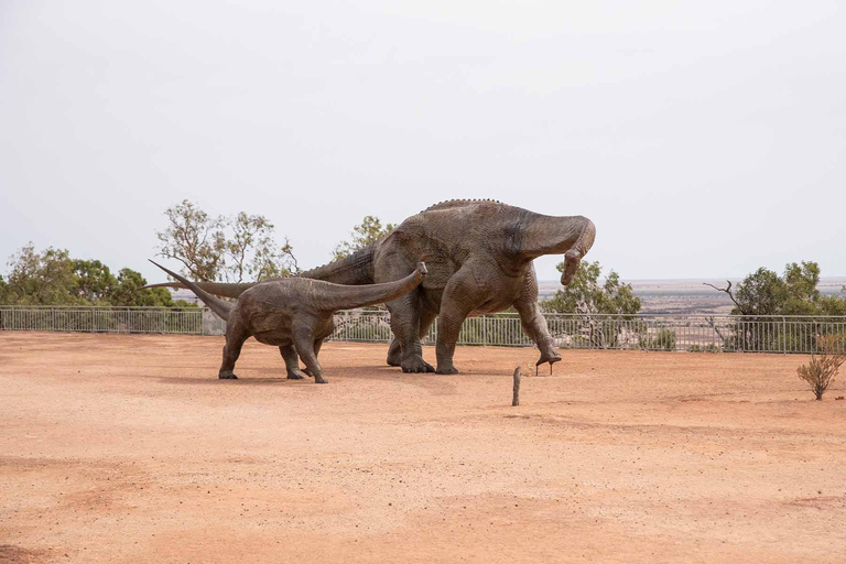 From Longreach: Outback Winton Full Day Tour