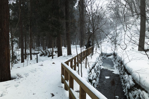 Sapporo: City Highlights & Local Experiences With a Local