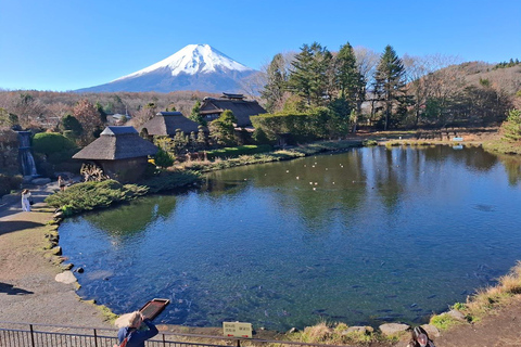 Tokyo: Full-day tour of the four Majestic spots of Mt Fuji