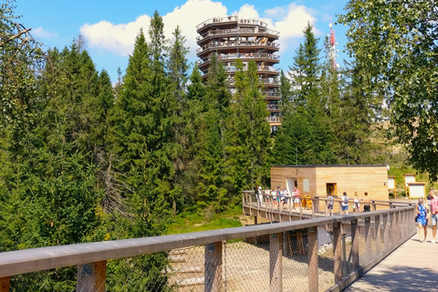 From Krakow: Slovakia Treetop Walk and Zakopane Tour Tour with Meeting Point pick up