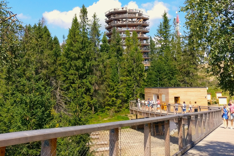 Von Krakau aus: Slowakische Baumkronenwanderung und Zakopane TourTour mit Abholung am Treffpunkt