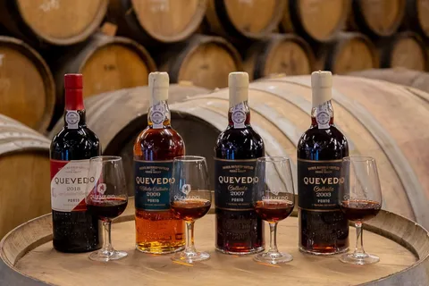 Douro-dalen: Besök på vingård och provsmakning av premiumlagrat portvin
