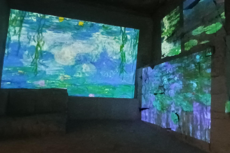 夏季之旅，4天/ 3晚，骑电动自行车探索普罗旺斯夏季之旅，4天/3夜，骑电动自行车探索普罗旺斯