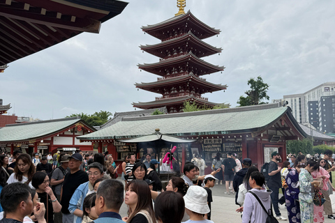 Tokyo: Customizable, Enjoyable and Memorable Private Tour