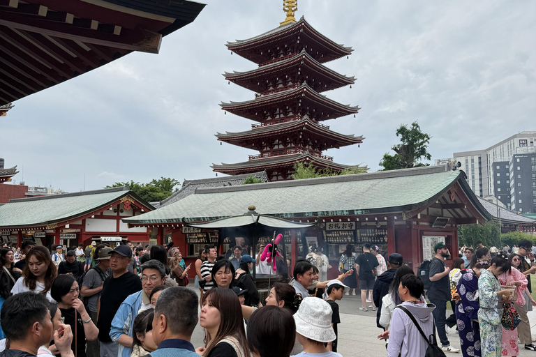 Tokyo: Customizable, Enjoyable and Memorable Private Tour