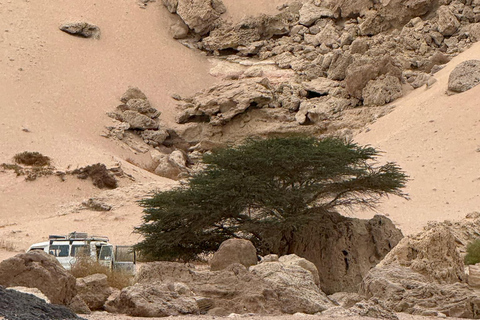 Hurghada: Hiking , dinner & stargazing Advanced hiking tour & camel ride