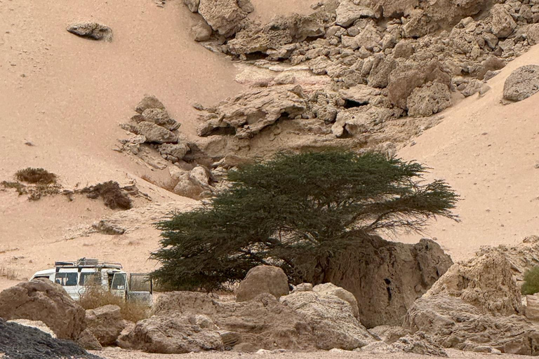 Hurghada: Hiking , dinner & stargazing Advanced hiking tour & camel ride