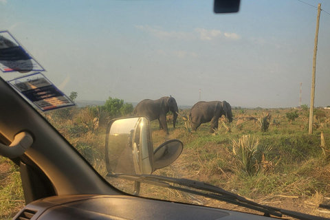 From Kampala: 2-Day Murchison Falls National Park Vacation