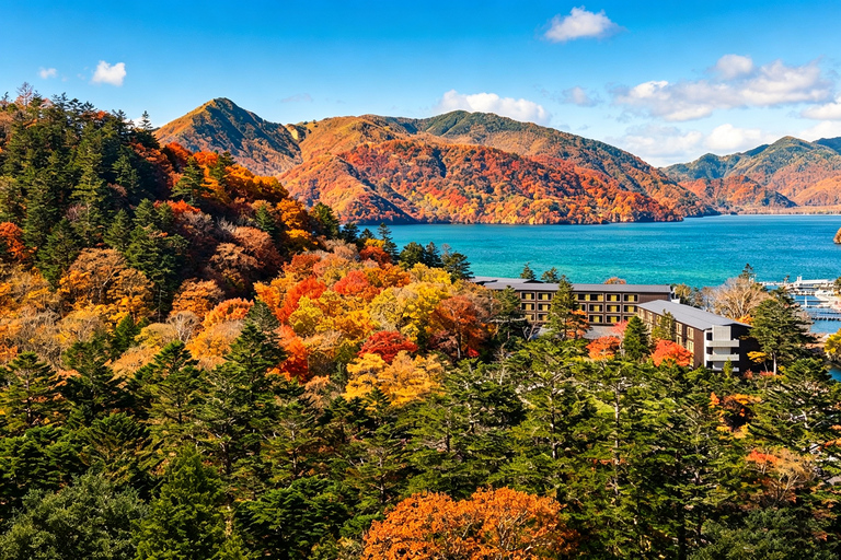 Nikko Small Group: Hotel Pickup, Kegon Falls & Toshogu Private Sightseeing Tours