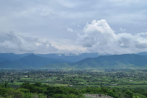 MTB Bike Tour: Tule Tree through the country-side