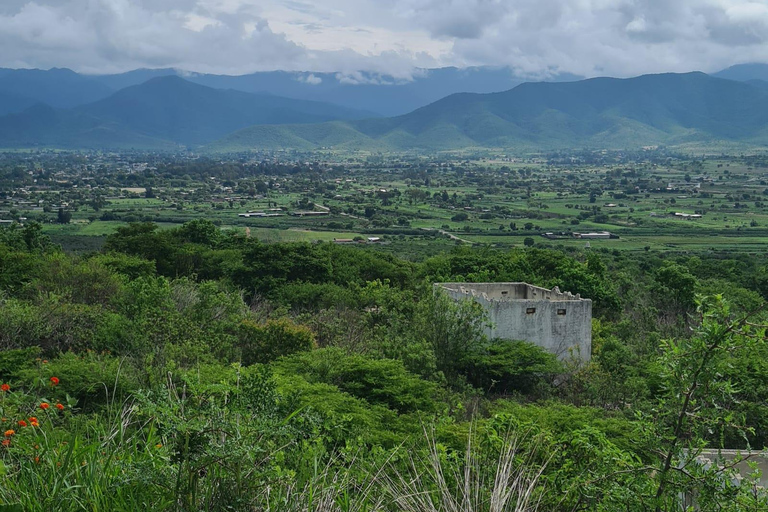 MTB Bike Tour: Tule Tree through the country-side