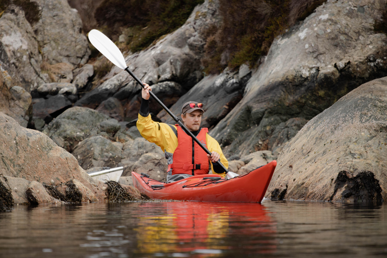 Bergen: Sea Kayaking Tour with Lunch and Transfer Bergen: Sea Kayaking Group Tour with Lunch and Transfer